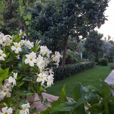 Su Gunventeddu 2* Пула