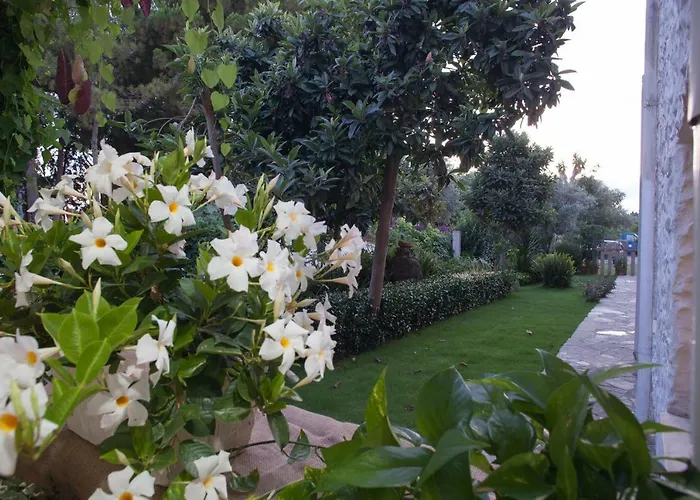 Su Gunventeddu 2* Pula